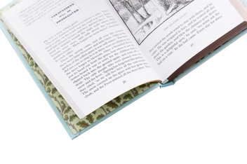 Бумажная книга «The Happy Prince & Other Stories », автор Оскар Уайльд - фото №6 - миниатюра