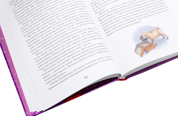 Бумажная книга «Моллі Мун і мистецтво перетворення. Книга 5», автор Джорджия Бинг - фото №9 - миниатюра