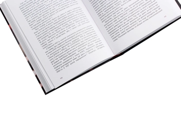 Бумажная книга «Президенти», автор Владимир Литвин - фото №5 - миниатюра