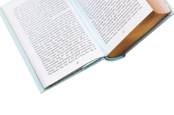 Бумажная книга «Moby-Dick», автор Герман Мелвилл - фото №7 - миниатюра