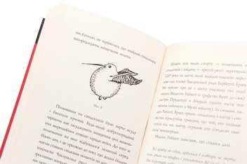 Бумажная книга «Квідич крізь віки», авторов Джоан Роулинг, Кеннилуорти Шорх - фото №6 - миниатюра