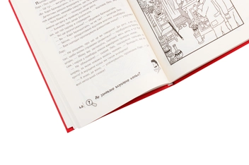 Бумажная книга «Знайди злочинця. Операція «Жовтий дракон». Збірка детективних історій», автор Юлиан Пресс - фото №6 - миниатюра