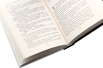 Паперова книга «Богун», автор Олександр Соколовський - фото №5 - мініатюра