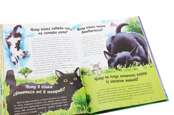 Паперова книга «Про все на світі. Відповіді чомучкам», автор Мар'яна Нечай - фото №6 - мініатюра