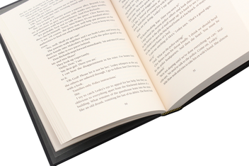 Бумажная книга «The Suspect», автор Фиона Бартон - фото №5 - миниатюра