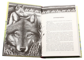 Бумажная книга «Джури (комплект із 4 книг)», автор Владимир Рутковский - фото №30 - миниатюра