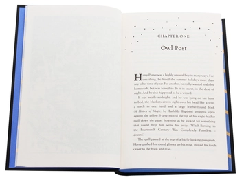 Бумажная книга «Harry Potter and the Prisoner of Azkaban - Ravenclaw Edition», автор Джоан Роулинг - фото №6 - миниатюра