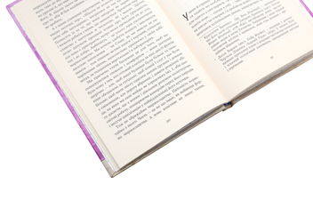 Бумажная книга «Про пам’ять, марнославство і собак», автор Джером Клапка Джером - фото №5 - миниатюра