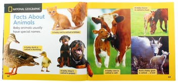 Паперова книга «Our World 1: Too Many Animals Big Book», авторів Джоан Крендал, Джоан Канґ Шін - фото №5 - мініатюра