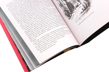 Бумажная книга «David Copperfield », автор Чарльз Диккенс - фото №6 - миниатюра