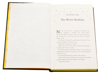 Бумажная книга «Harry Potter and the Chamber of Secrets», автор Джоан Роулинг - фото №6 - миниатюра