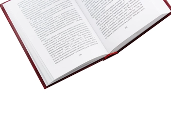 Бумажная книга «Твори у 10 томах. Том 10. Статті, виступи, інтерв'ю (січень 1998 - березень 1999 рр.)», автор Вячеслав Черновол - фото №7 - миниатюра