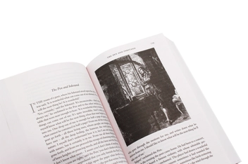 Паперова книга «The Complete Fairy Tales of Hans Christian Andersen», автор Ганс Кристіан Андерсен - фото №7 - мініатюра