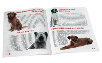 Паперова книга «Велика книжка. Мисливські собаки для допитливих дорослих і дітей», автор Олег Зав'язкин - фото №3 - мініатюра