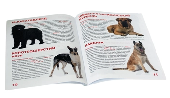 Бумажная книга «Велика книжка. Службові собаки для допитливих дорослих і дітей», автор Олег Завязкин - фото №3 - миниатюра