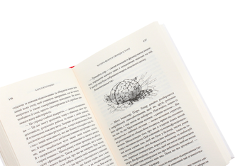 Паперова книга «Клуб п’ятої ранку», автор Робін Шарма - фото №7 - мініатюра