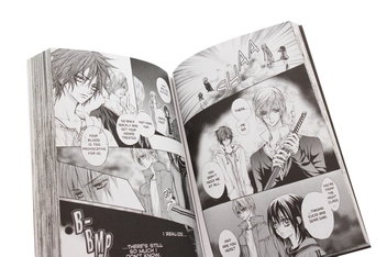 Бумажная книга «Vampire Knight. Volume 2», автор Мацури Хино - фото №5 - миниатюра