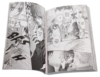 Паперова книга «Vampire Knight. Volume 1», автор Мацурі Хіно - фото №7 - мініатюра