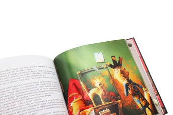 Паперова книга «Професіонали», автор Лана Ра - фото №5 - мініатюра