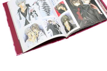 Бумажная книга «The Art of Vampire Knight», автор Мацури Хино - фото №9 - миниатюра