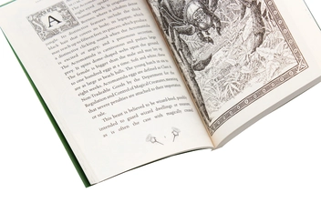 Паперова книга «Fantastic Beasts and Where to Find Them», автор Джоан Ролінґ - фото №4 - мініатюра