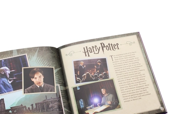 Паперова книга «J.K. Rowling's Wizarding World. The Dark Arts. A Movie Scrapbook», автор Брати Ворнер - фото №6 - мініатюра