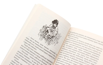 Паперова книга «Пригоди Гайді (комплект із 2 книг)», автор Йоганна Шпіра - фото №12 - мініатюра