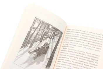 Паперова книга «Пригоди Гайді (комплект із 2 книг)», автор Йоганна Шпіра - фото №17 - мініатюра