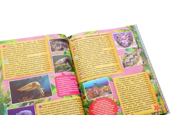 Бумажная книга «Підводний світ. Велика книга» - фото №5 - миниатюра