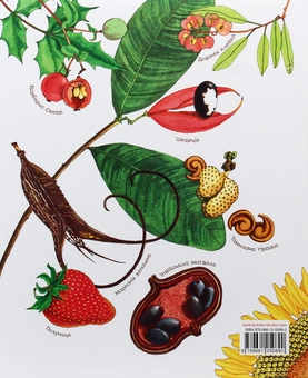 Бумажная книга «Арт-енциклопедії для дітей (комплект із 6 книг)», автор Диана Гуттс Астон - фото №10 - миниатюра