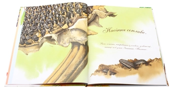 Бумажная книга «Насіння сонливе», автор Диана Гуттс Астон - фото №5 - миниатюра