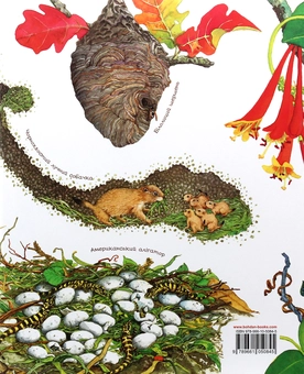 Бумажная книга «Арт-енциклопедії для дітей (комплект із 6 книг)», автор Диана Гуттс Астон - фото №22 - миниатюра
