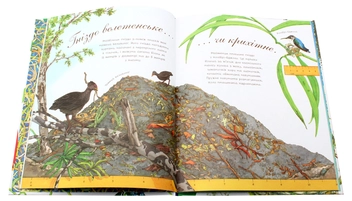 Бумажная книга «Гніздо галасливе», автор Диана Гуттс Астон - фото №4 - миниатюра