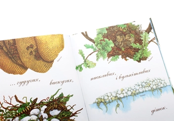 Бумажная книга «Арт-енциклопедії для дітей (комплект із 6 книг)», автор Диана Гуттс Астон - фото №26 - миниатюра