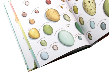 Бумажная книга «Арт-енциклопедії для дітей (комплект із 6 книг)», автор Диана Гуттс Астон - фото №30 - миниатюра