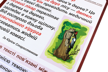 Бумажная книга «Українська мова. 4 клас. Таблиці. Навчальний посібник», автор Наталья Будная - фото №5 - миниатюра