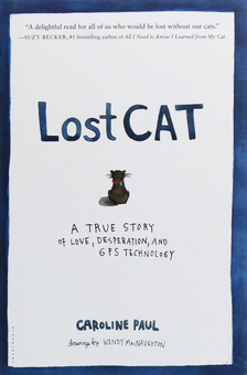 Бумажная книга «Lost Cat», автор Кэролайн Пауль - фото №1 - миниатюра