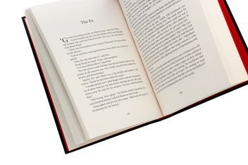 Бумажная книга «Exit», автор Белинда Бауэр - фото №5 - миниатюра