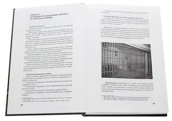 Паперова книга «Пенітенціарна система України», автор Дмитро Ягунов - фото №4 - мініатюра