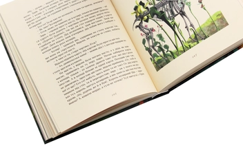 Бумажная книга «Вечорниці на хуторі біля Диканьки», автор Николай Гоголь - фото №6 - миниатюра