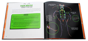 Бумажная книга «Strange Nature. The Insect Portraits of Levon Biss», автор Грегори Мон - фото №5 - миниатюра