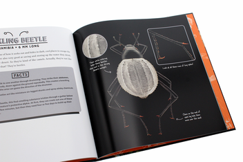 Бумажная книга «Strange Nature. The Insect Portraits of Levon Biss», автор Грегори Мон - фото №8 - миниатюра
