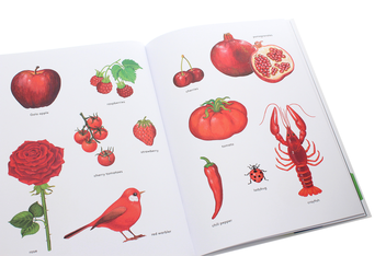Бумажная книга «Orange Is an Apricot, Green Is a Tree Frog», автор Паскаль Эстеллон - фото №5 - миниатюра
