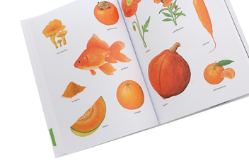 Бумажная книга «Orange Is an Apricot, Green Is a Tree Frog», автор Паскаль Эстеллон - фото №6 - миниатюра
