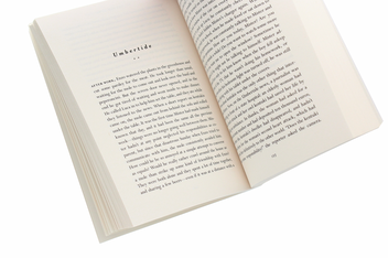 Бумажная книга «Little Eyes», автор Саманта Швеблин - фото №5 - миниатюра