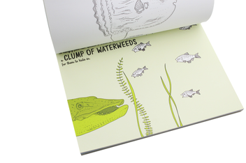 Паперова книга «Under Water», авторів Олександра Мізелиньська, Даніель Мізеліньський - фото №6 - мініатюра