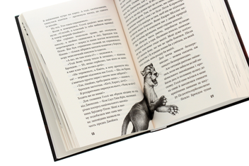 Бумажная книга «Діти лісу. Книга 3. Таємниця Голлі», автор Катя Брандис - фото №5 - миниатюра