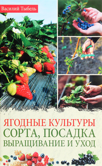 Бумажная «Ягодные культуры. Сорта, посадка, выращивание и уход», автора Василий Тыбель– фото №1