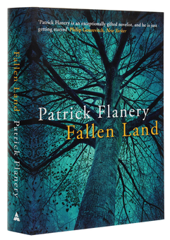 Бумажная книга «Fallen Land», автор Патрик Флэнери - фото №3 - миниатюра