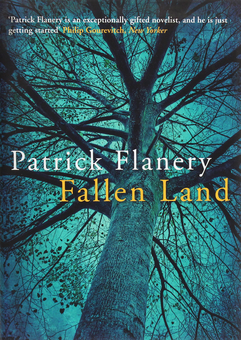 Бумажная книга «Fallen Land», автор Патрик Флэнери - фото №1 - миниатюра